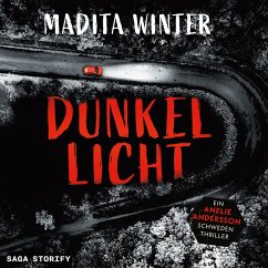 Dunkellicht (MP3-Download) - Winter, Madita