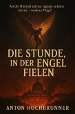 Die Stunde, in der Engel fielen (Pater Ambrosius, #2) (eBook, ePUB)