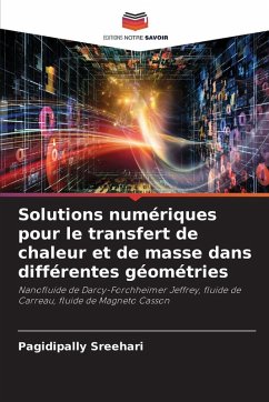 Cover Solutions numériques pour le transfert de chaleur et de masse dans différentes géométries