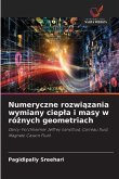 Numeryczne rozwi¿zania wymiany ciep¿a i masy w ró¿nych geometriach