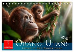 Orang Utans - Leben in den Baumkronen (Tischkalender 2026 DIN A5 quer), CALVENDO Monatskalender