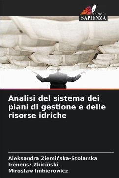 Cover Analisi del sistema dei piani di gestione e delle risorse idriche