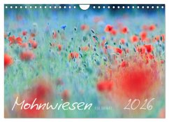 Mohnwiesen (Wandkalender 2026 DIN A4 quer), CALVENDO Monatskalender