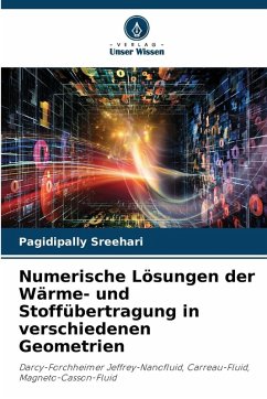 Cover Numerische Lösungen der Wärme- und Stoffübertragung in verschiedenen Geometrien