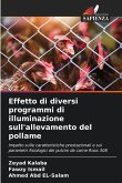 Effetto di diversi programmi di illuminazione sull'allevamento del pollame