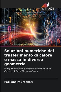 Cover Soluzioni numeriche del trasferimento di calore e massa in diverse geometrie