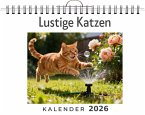 Lustige Katzen