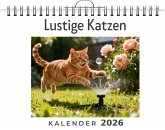 Lustige Katzen Lustige Katzen