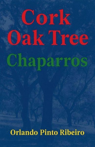 Cork Oak Tree