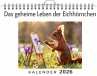 Das geheime Leben der Eichhörnchen - Bild 1