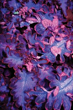 A Triad Moon - Haunted by Ghosts - Keys, Siren