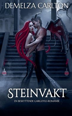 Cover Steinvakt