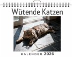 Wütende Katzen