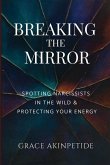 Breaking the Mirror