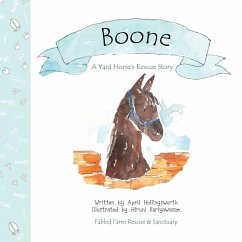 Cover Boone - A Yard Horse's Rescue Story