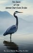 The Saga of The Heron That Flies To Hel... - Bild 1