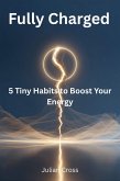 Fully Charged (eBook, ePUB)