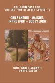 Gbile Akanni - Walking in the Light - God is Light - The Guidepost For the End Time Believer Series - 3 of 22 (eBook, ePUB)