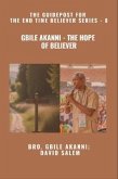 Gbile Akanni - The Hope Of Believer - The Guidepost For the End Time Believer Series - 8 of 22 (eBook, ePUB)