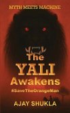 The YALI Awakens (eBook, ePUB)