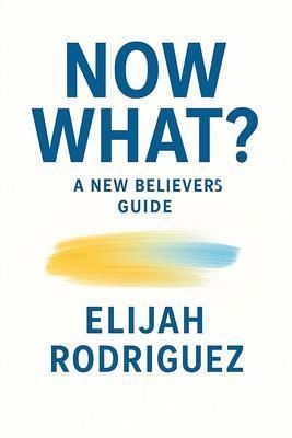 Now What? A New Believer's Guide (eBook, ePUB)