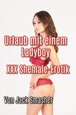 Urlaub mit einem Ladyboy: XXX Shemale Erotik (eBook, ePUB)
