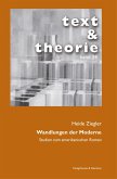 Wandlungen der Moderne (eBook, PDF)