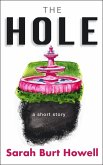 The Hole (eBook, ePUB)