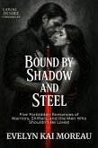 Bound by Shadow and Steel (eBook, ePUB)