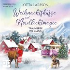 Weihnachtsküsse und Nordlichtmagie (MP3-Download)