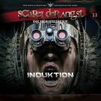 Folge 13 - Induktion (MP3-Download)
