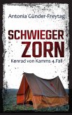 Schwiegerzorn (eBook, ePUB)