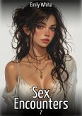 Sex Encounters. 7 (eBook, ePUB)