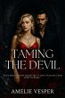 Taming the Devil (eBook, ePUB) - Bild 1