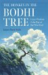 The Monkey in the Bodhi Tree (eBook,... - Bild 1