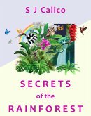 Secrets of the Rainforest (eBook, ePUB)
