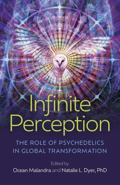 Cover Infinite Perception (eBook, ePUB)