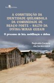 A Construção da Identidade Quilombola da Comunidade de Braço Forte - Salto da Divisa/Minas Gerais (eBook, ePUB)