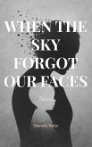 When the Sky Forgot Our Faces (eBook, ePUB)