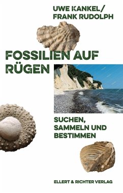 Fossilien auf Rügen - Rudolph, Frank; Kankel, Uwe