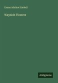 Wayside Flowers