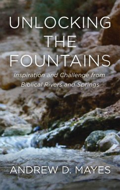 Cover Unlocking the Fountains