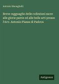 Breve ragguaglio delle collezioni sacre alle glorie patrie ed alle belle arti presso l'Avv. Antonio Piazza di Padova Breve ragguaglio delle collezioni sacre alle glorie patrie ed alle belle arti presso l'Avv. Antonio Piazza di Padova