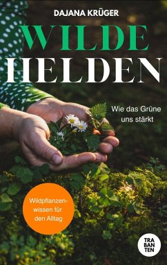 Cover Wilde Helden