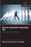 Ocena zjawiska zn¿cania si¿