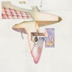 Cover Holger Kleine. Archimorphosen