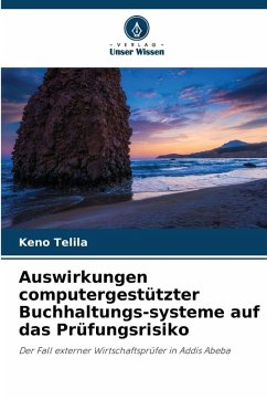 Cover Auswirkungen computergestützter Buchhaltungs-systeme auf das Prüfungsrisiko