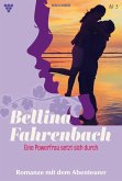 Romanze mit dem Abenteurer (eBook, ePUB)