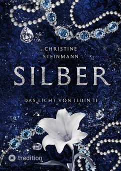 SILBER (eBook, ePUB) - Steinmann, Christine