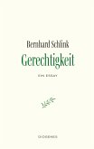 Gerechtigkeit (eBook, ePUB)